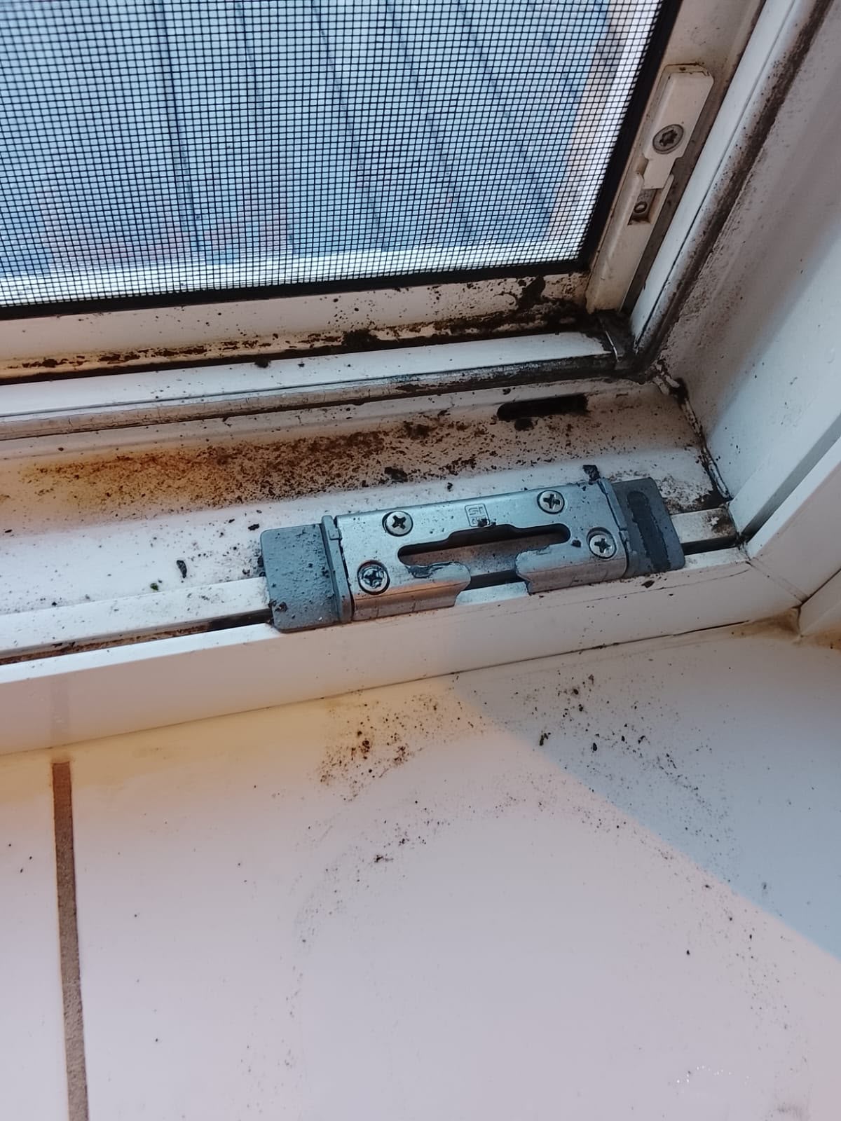 Fensterrahmen & Falze – vorher